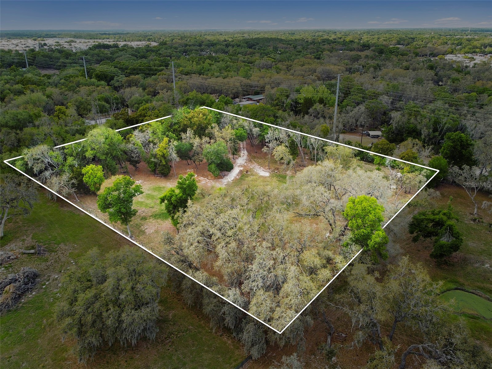 4458 Foster Lane Zephyrhills FL 33541 TB8496153 image6