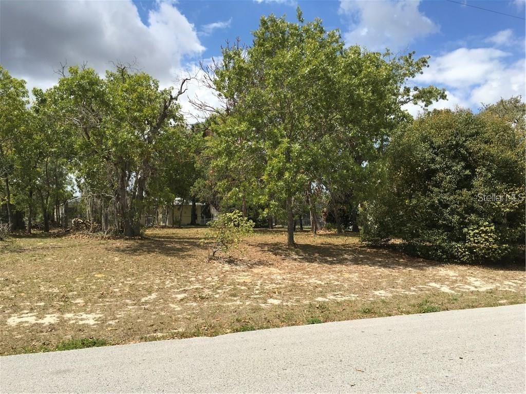 4459 Detroit Street Spring Hill FL 34608 U8181755 image1