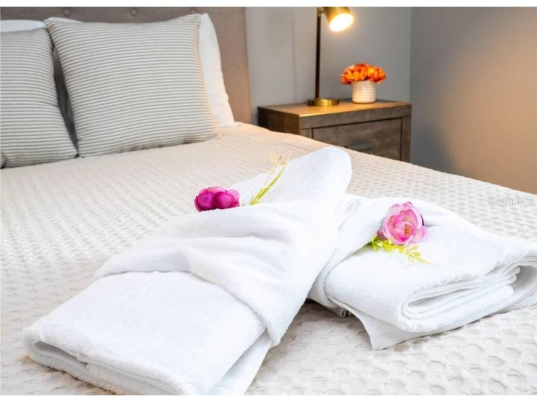 4459 Le Reve Court Kissimmee FL 34746 O6332306 image27