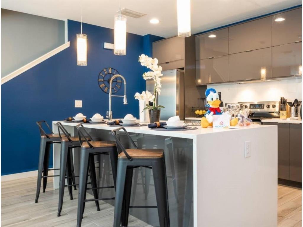 4459 Le Reve Court Kissimmee FL 34746 O6332306 image8