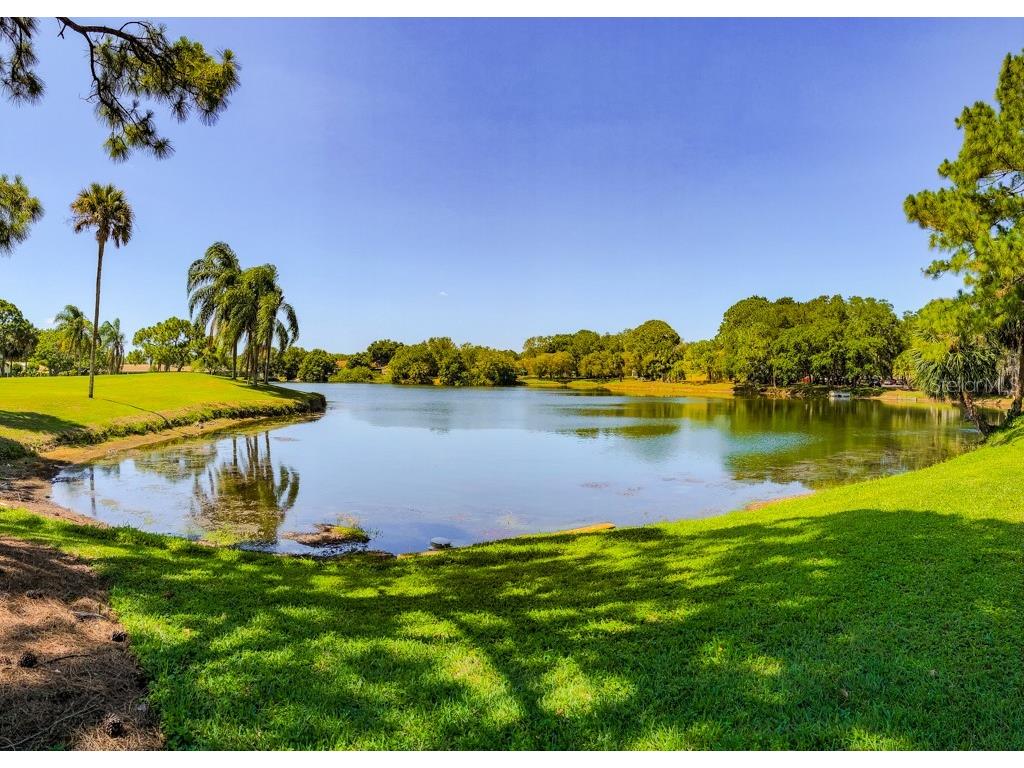 4459 Oakley Greene #62 Sarasota FL 34235 A4673777 image49