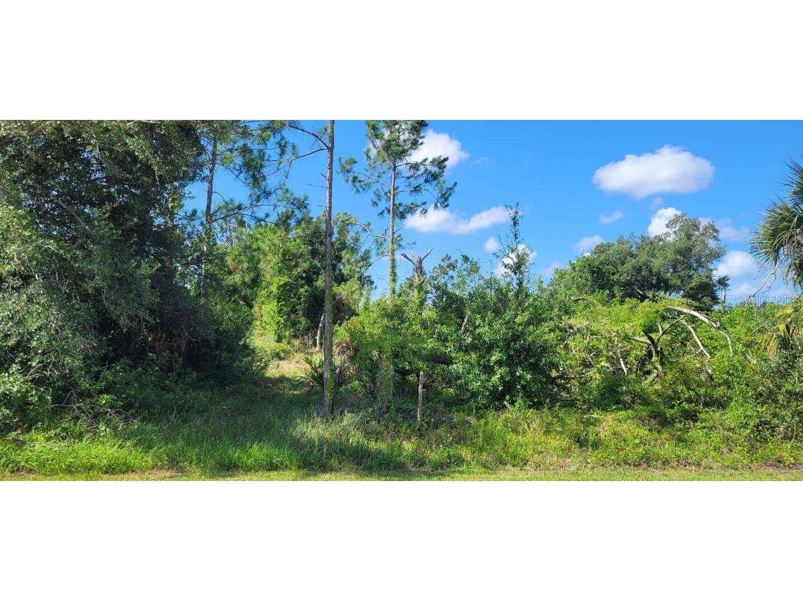 4459 S Access Road Englewood FL 34224 D6137079 image1