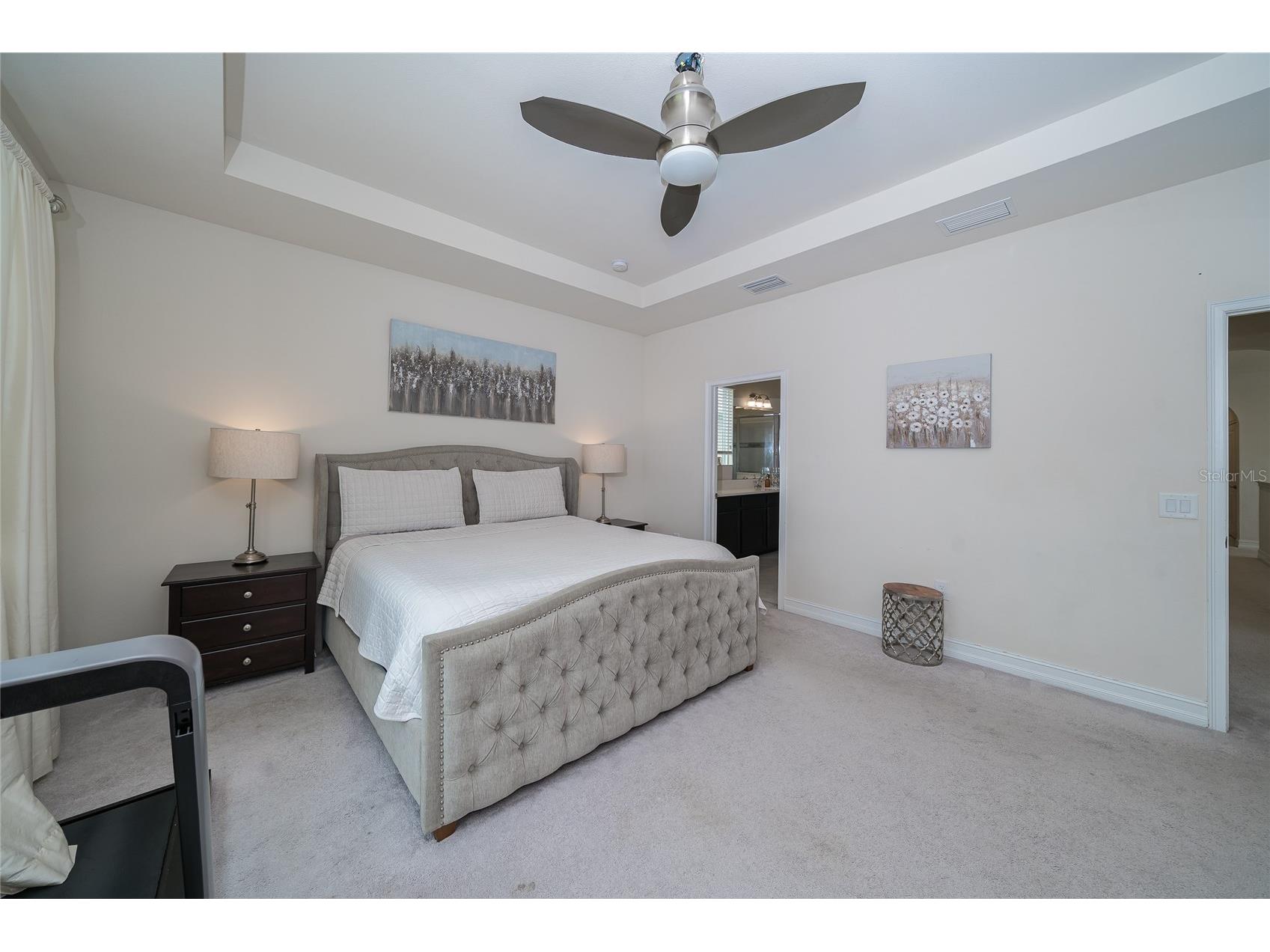 4459 Tramanto Lane Wesley Chapel FL 33543 TB8528993 image31
