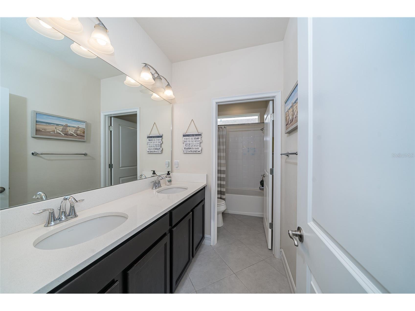 4459 Tramanto Lane Wesley Chapel FL 33543 TB8528993 image35