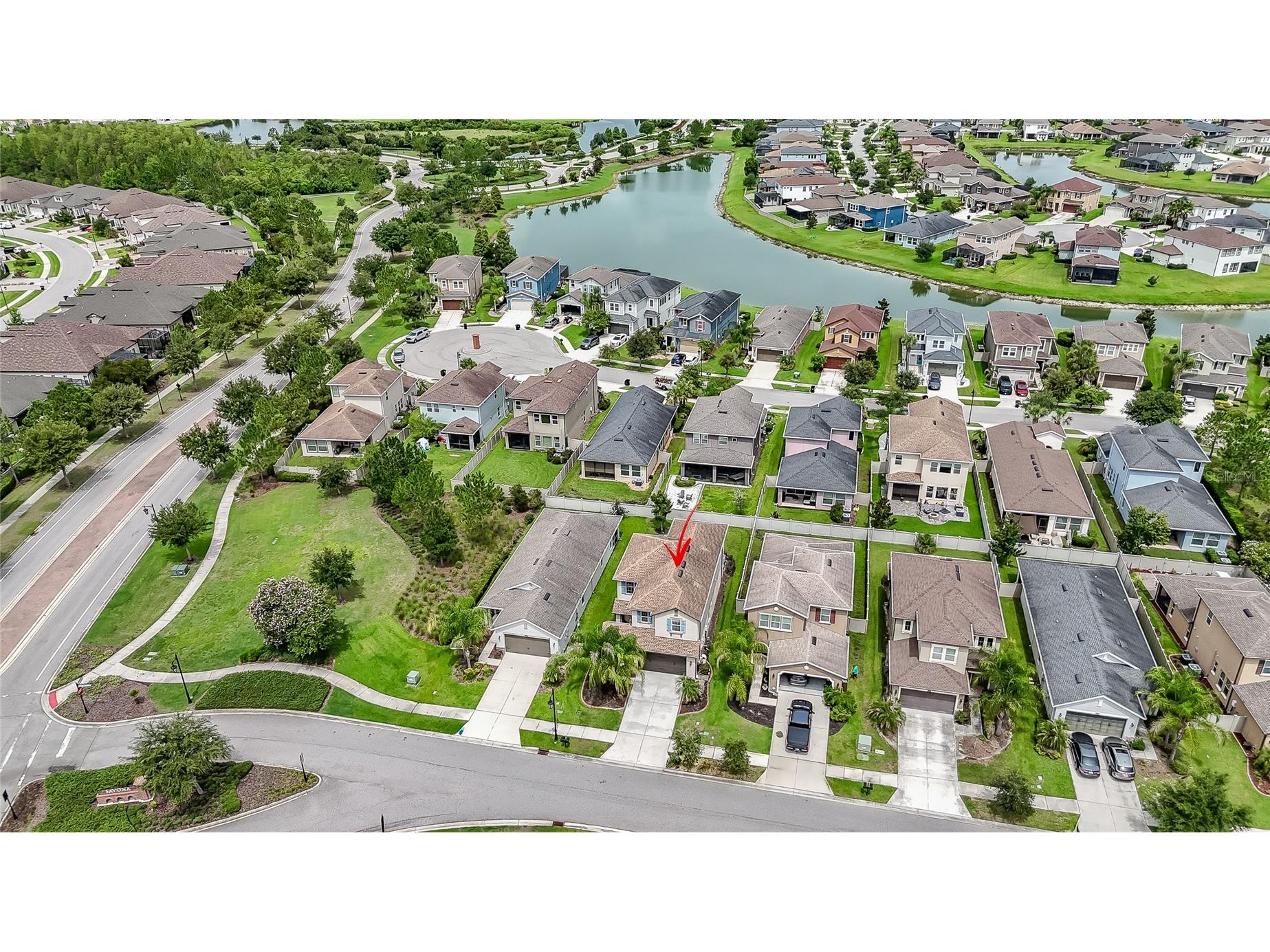 4459 Tramanto Lane Wesley Chapel FL 33543 TB8528993 image5