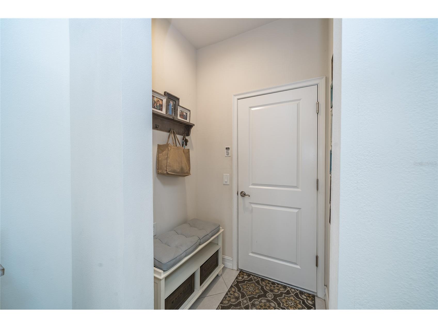 4459 Tramanto Lane Wesley Chapel FL 33543 TB8528993 image7