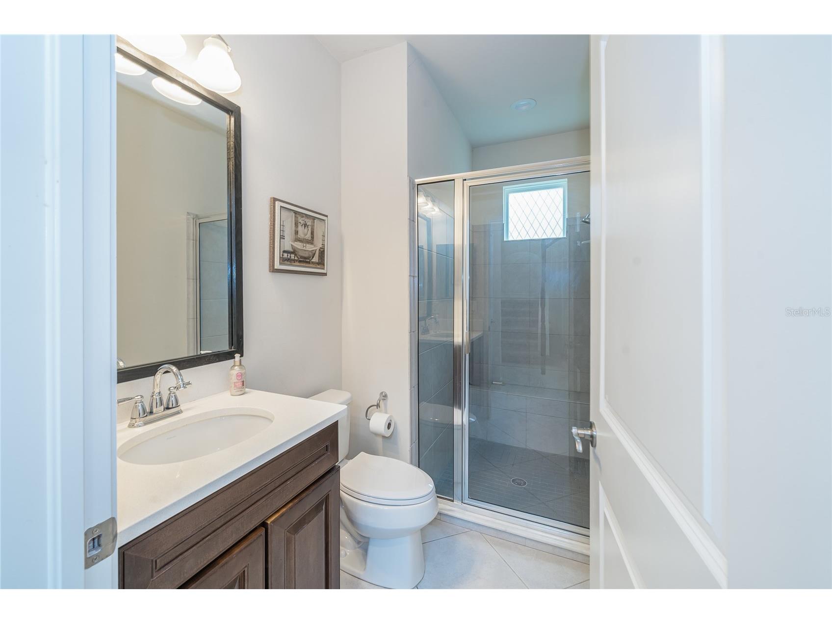 4459 Tramanto Lane Wesley Chapel FL 33543 TB8528993 image8