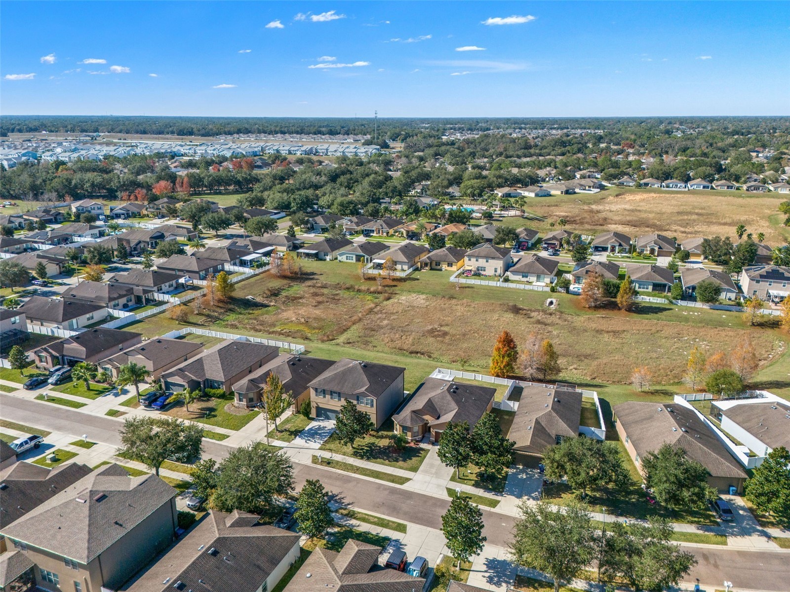 446 Alpine Thistle Drive Brooksville FL 34604 W7881583 image44