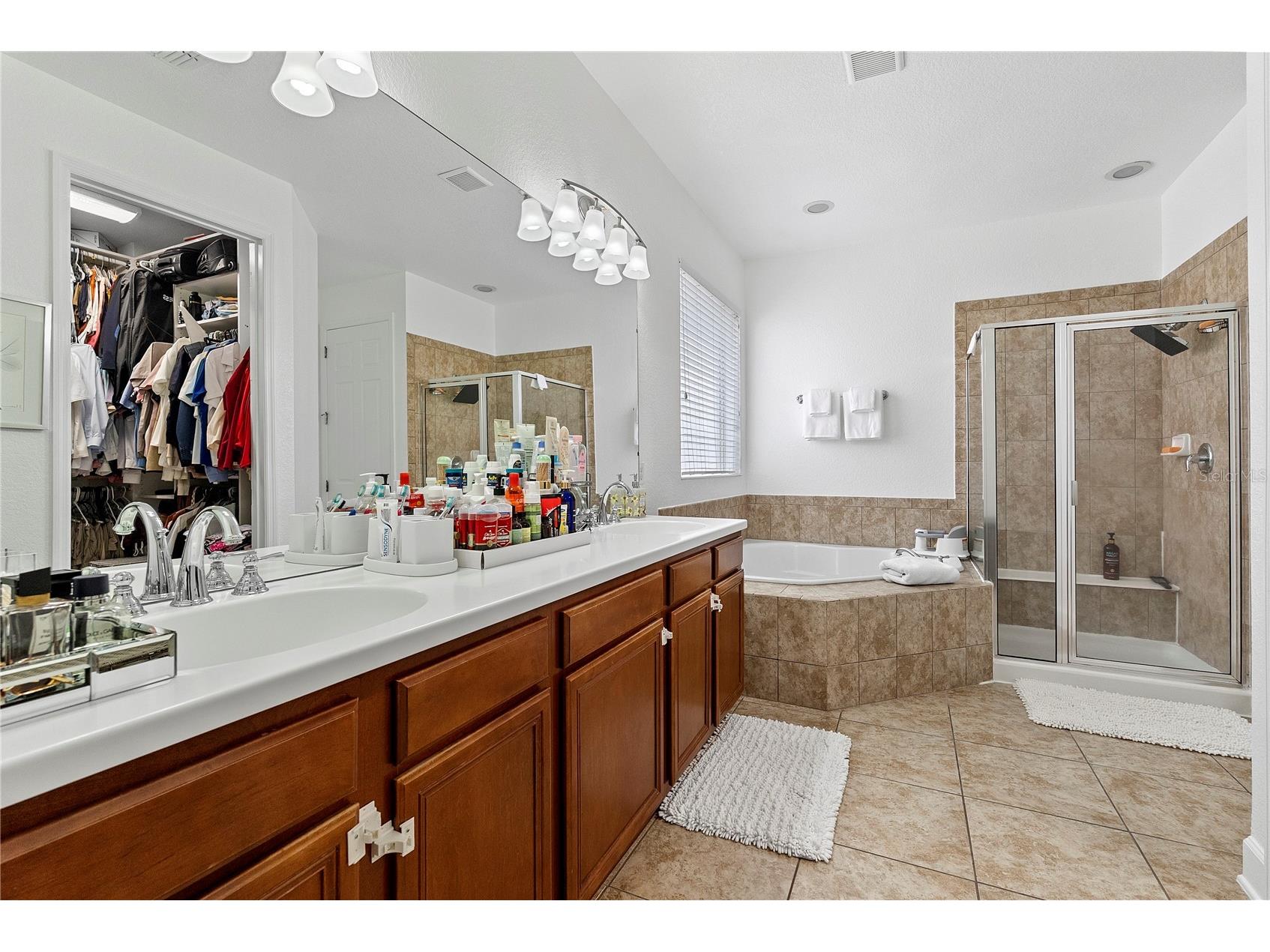 446 Anessa Rose Loop Ocoee FL 34761 O6413496 image19