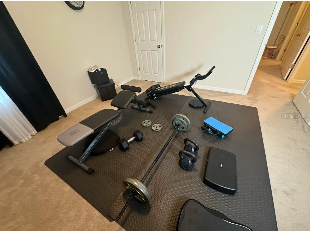 446 Citrus Isle Loop Davenport FL 33837 S5134836 image22