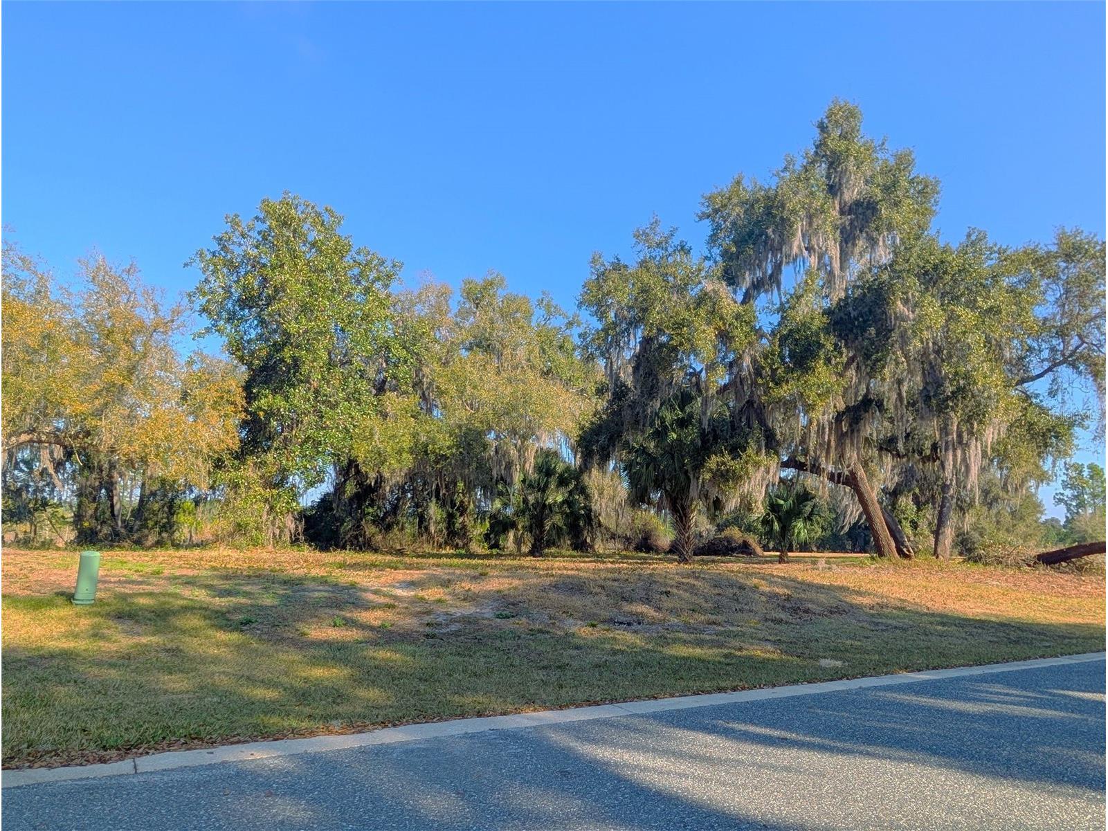 446 Long And Winding Road Howey In The Hills FL 34737 O6386207 image1