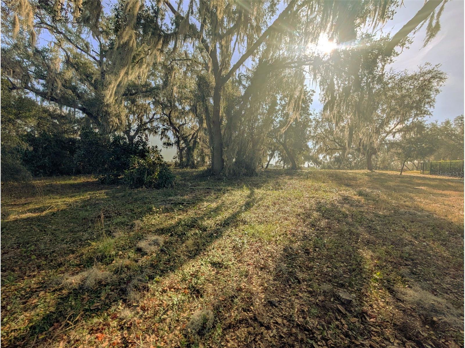 446 Long And Winding Road Howey In The Hills FL 34737 O6386207 image29