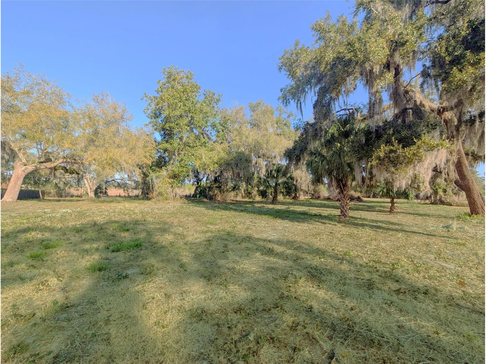 446 Long And Winding Road Howey In The Hills FL 34737 O6386207 image30