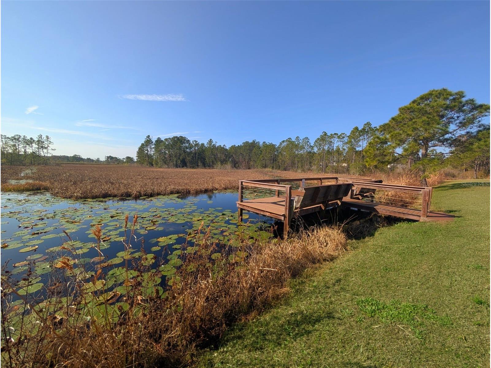 446 Long And Winding Road Howey In The Hills FL 34737 O6386207 image31