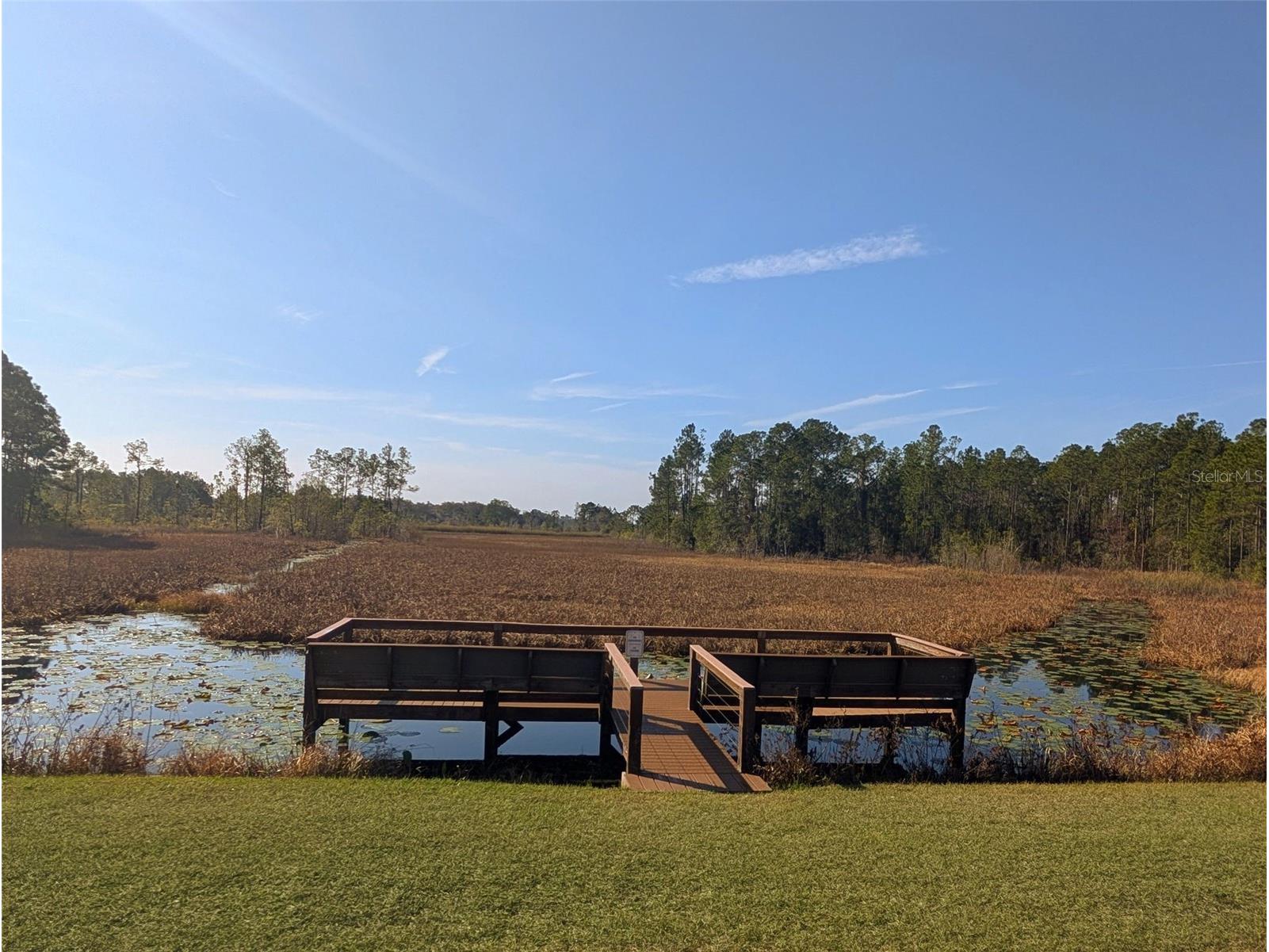 446 Long And Winding Road Howey In The Hills FL 34737 O6386207 image32