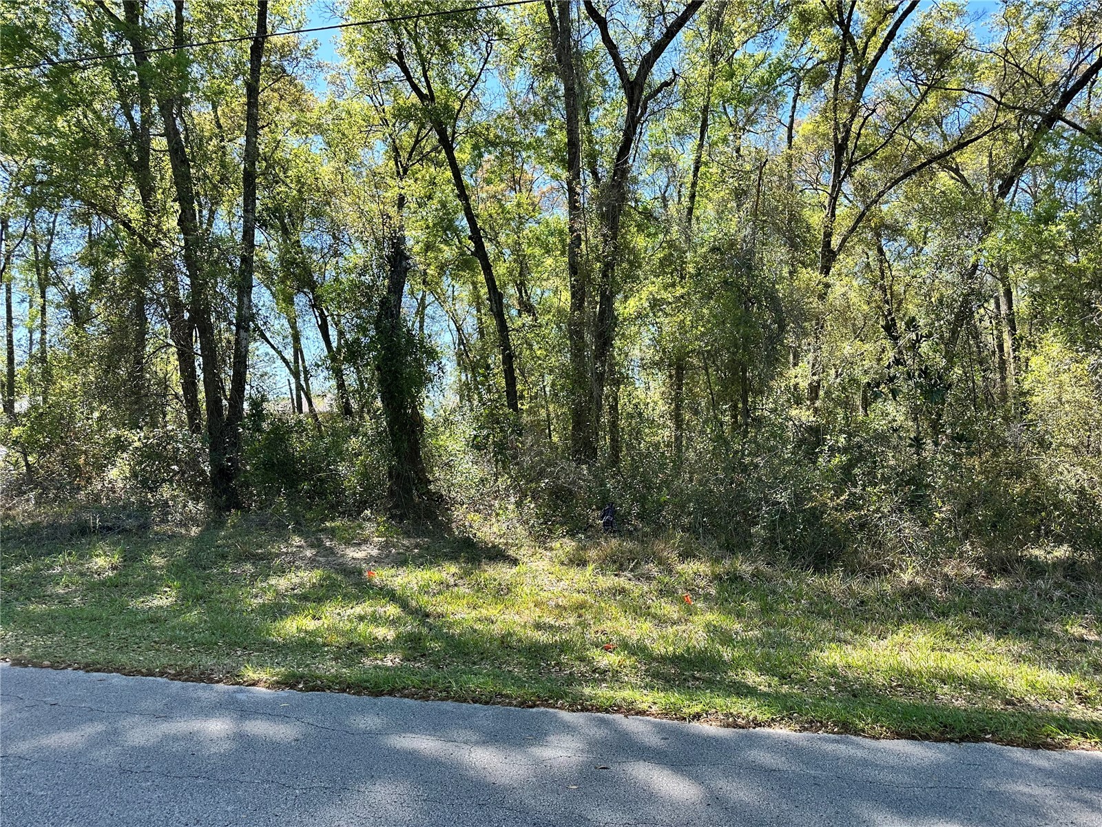446 N Fitzpatrick Avenue Inverness FL 34453 TB8488139 image2