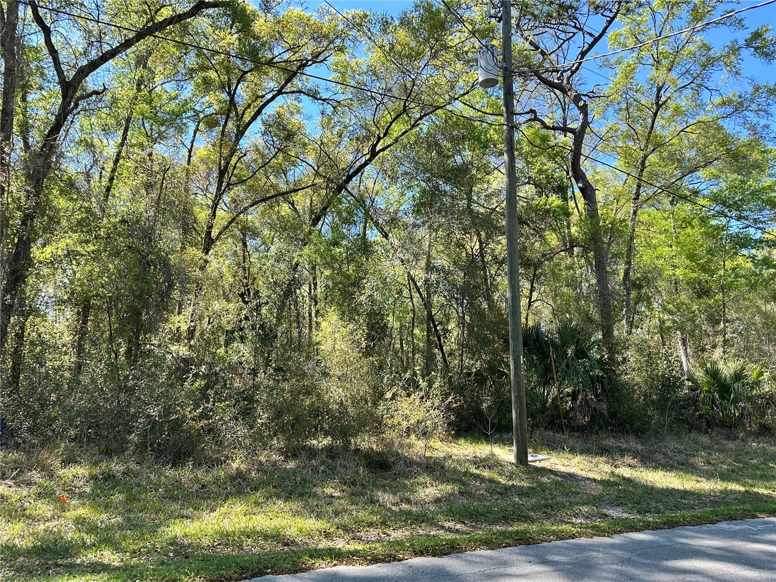 446 N Fitzpatrick Avenue Inverness FL 34453 TB8488139 image3
