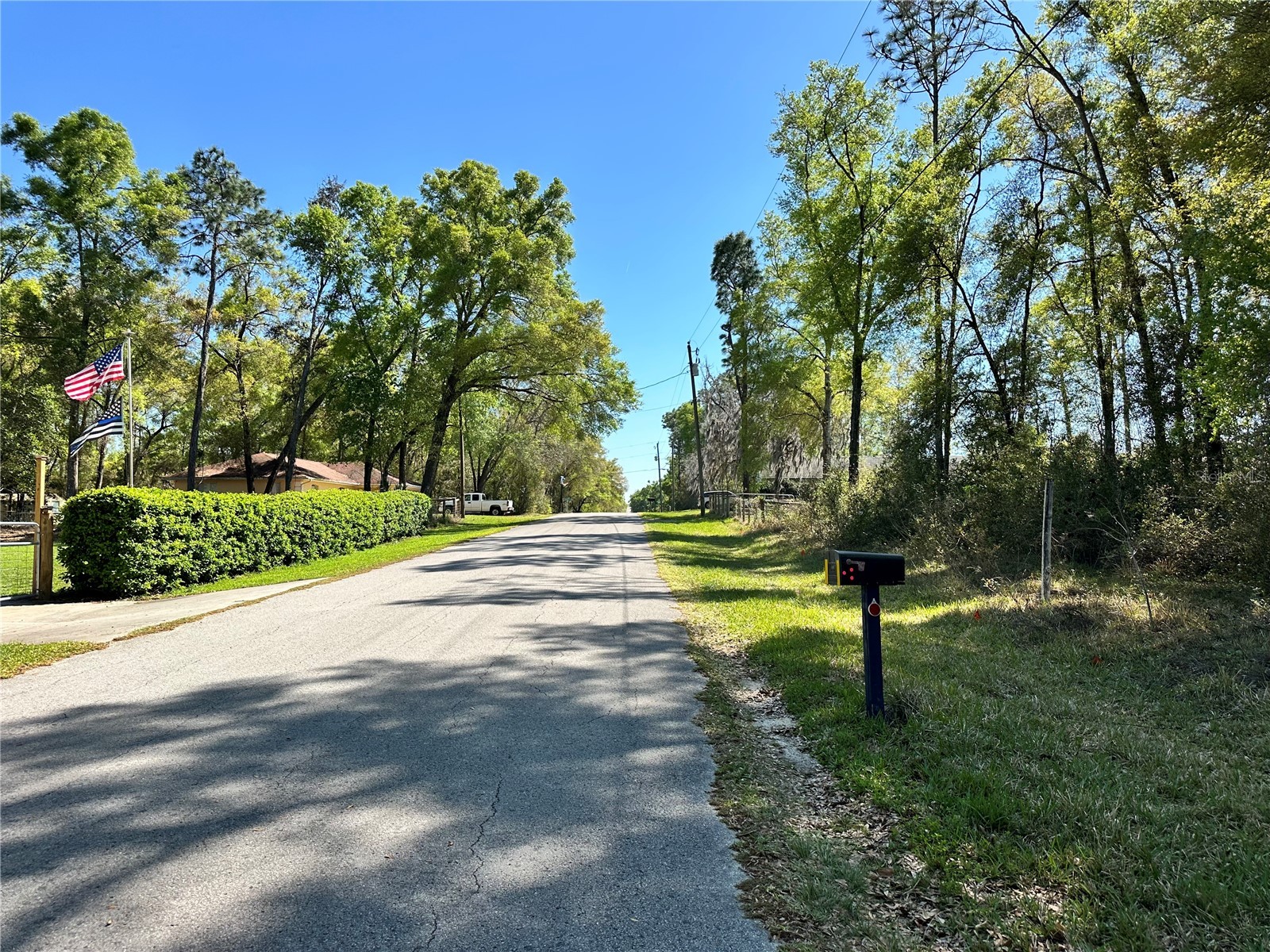 446 N Fitzpatrick Avenue Inverness FL 34453 TB8488139 image4