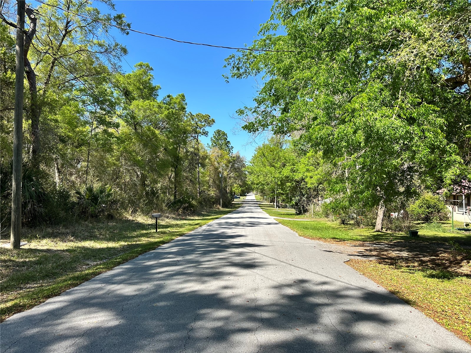 446 N Fitzpatrick Avenue Inverness FL 34453 TB8488139 image5