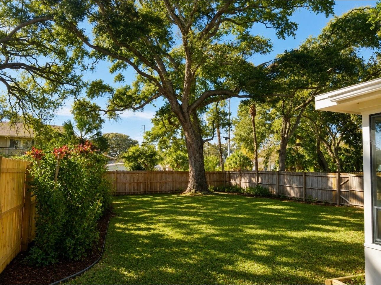 446 New York Avenue Dunedin FL 34698 TB8525188 image12