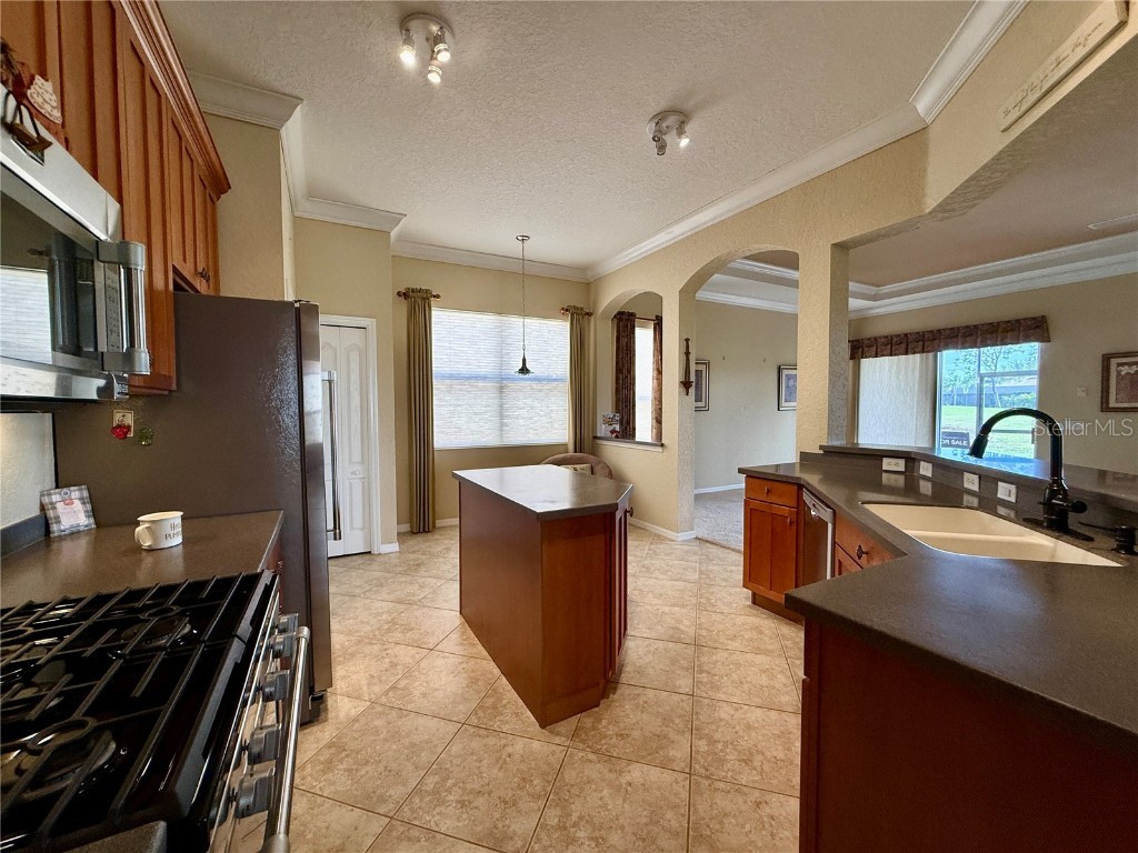 446 Noble Faire Drive Sun City Center FL 33573 TB8375565 image4