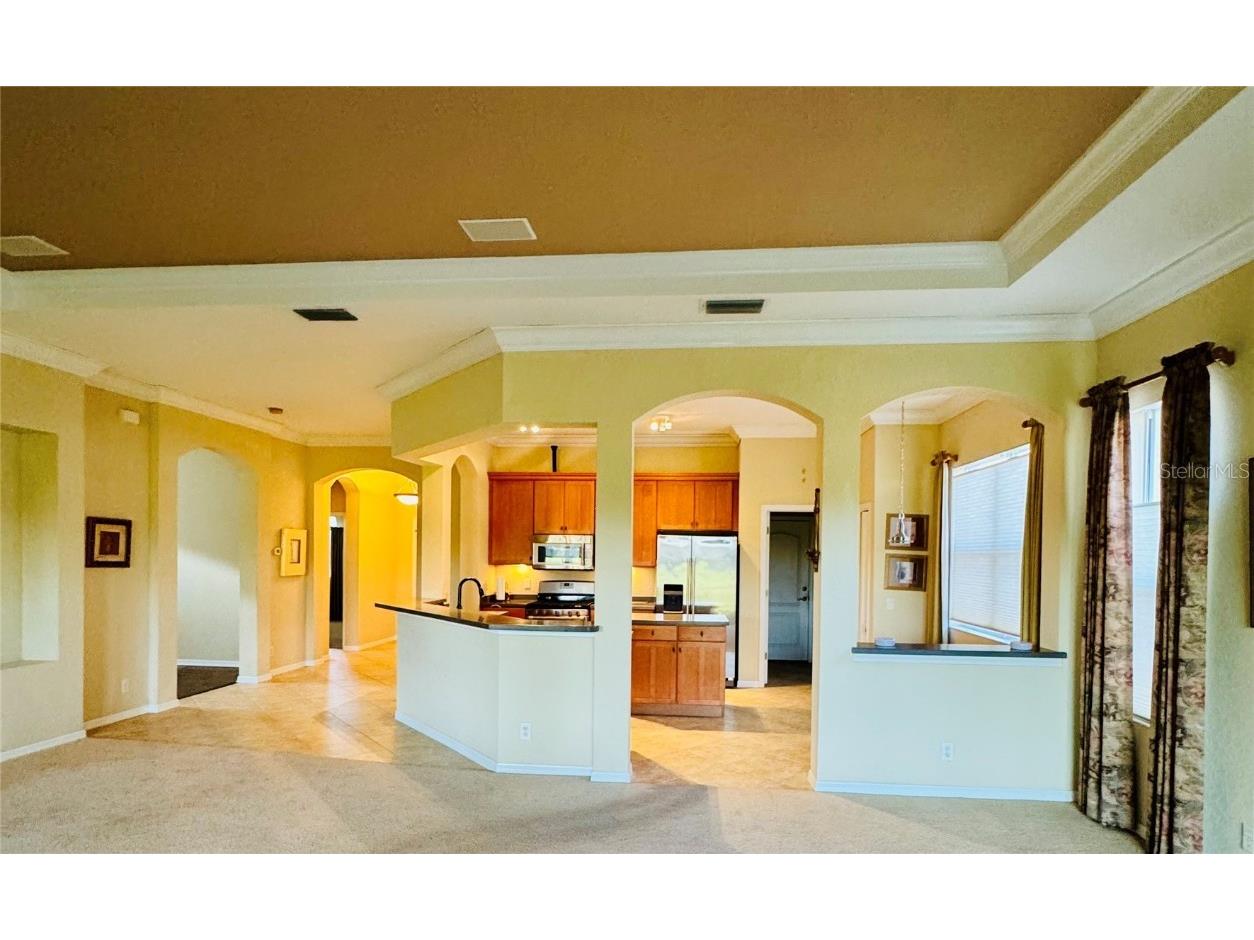 446 Noble Faire Drive Sun City Center FL 33573 TB8375565 image6