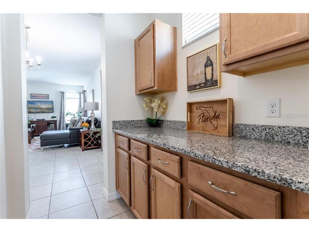446 Orange Cosmos Boulevard Davenport FL 33837 O6390388 image24