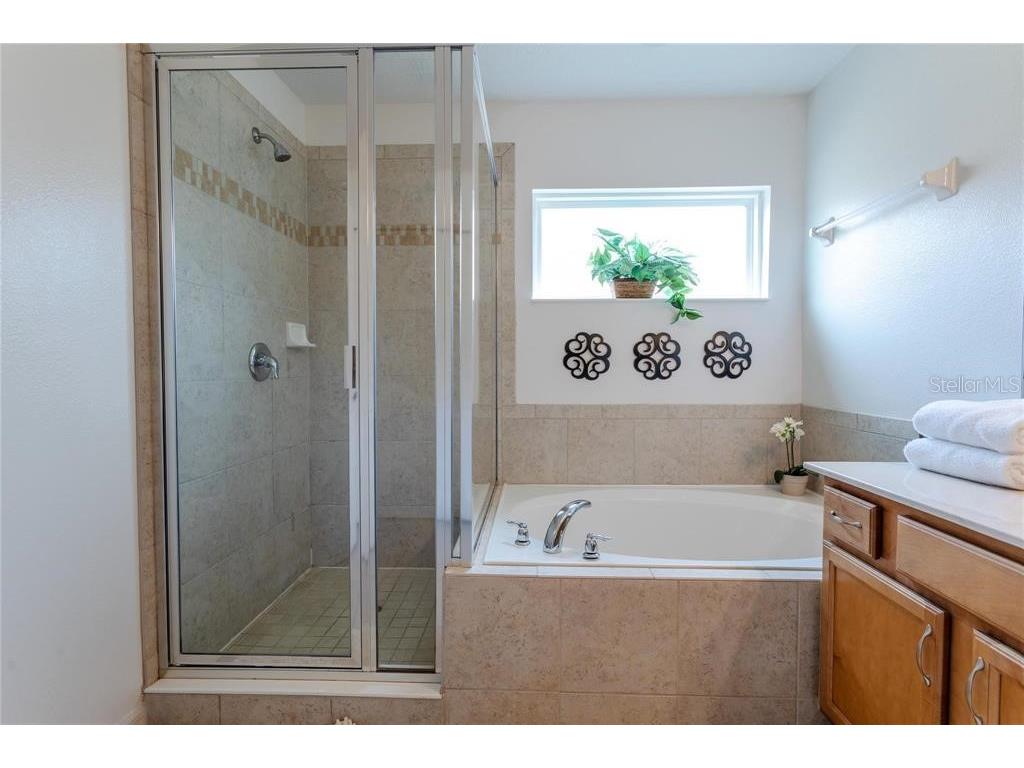 446 Orange Cosmos Boulevard Davenport FL 33837 O6390388 image43
