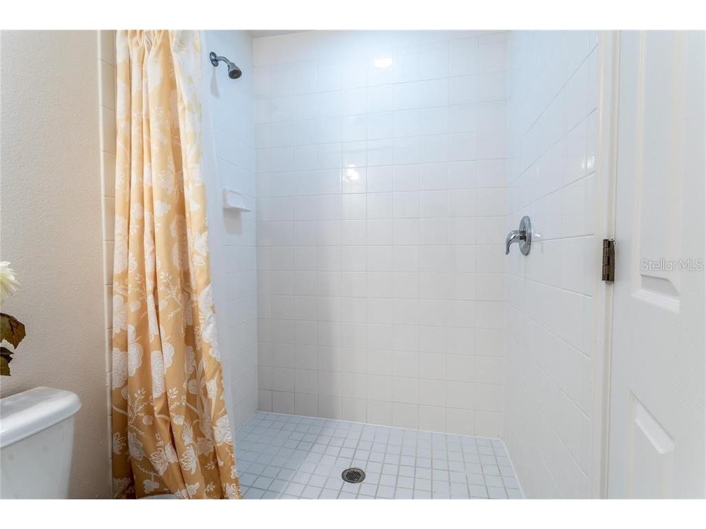 446 Orange Cosmos Boulevard Davenport FL 33837 O6390388 image48