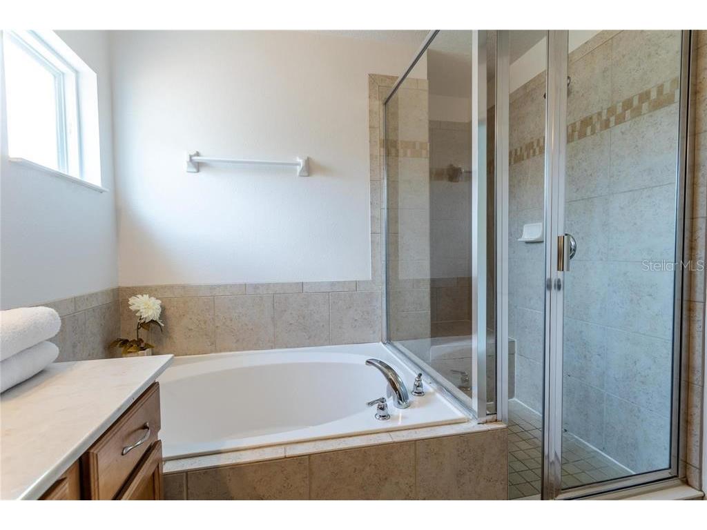 446 Orange Cosmos Boulevard Davenport FL 33837 O6390388 image52