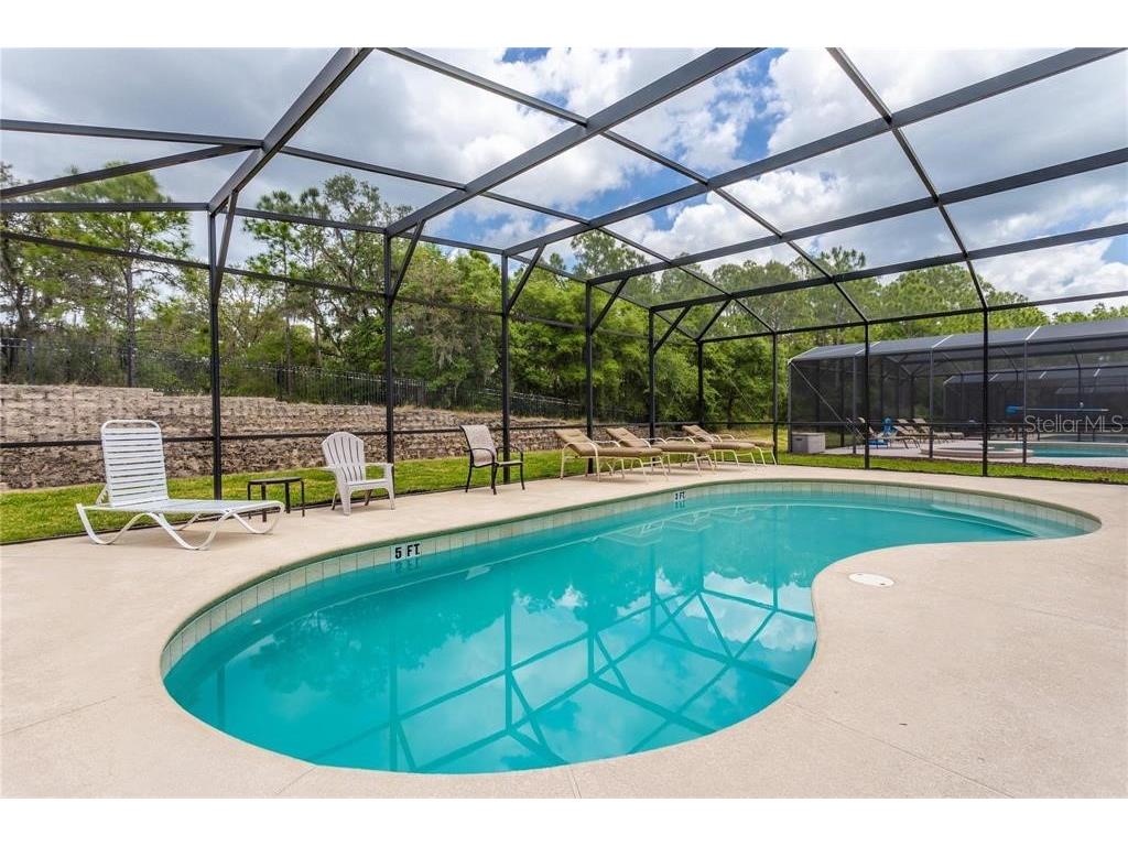 446 Orange Cosmos Boulevard Davenport FL 33837 O6390388 image60