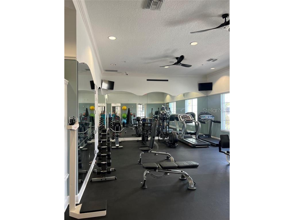 446 Orange Cosmos Boulevard Davenport FL 33837 O6390388 image63