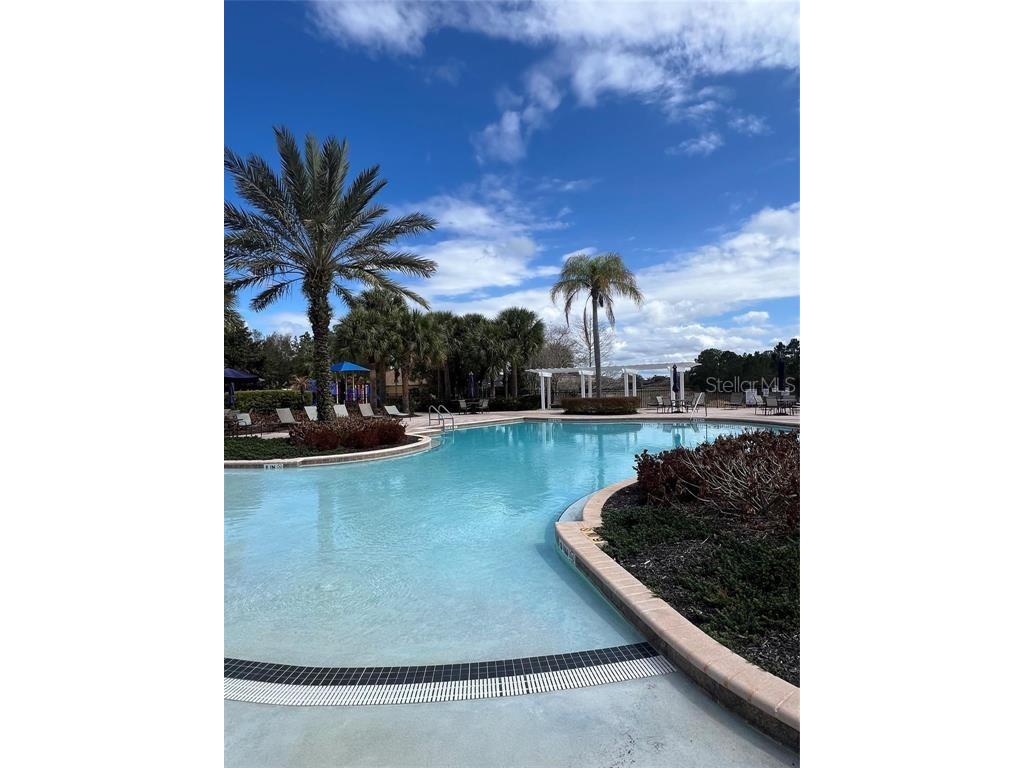 446 Orange Cosmos Boulevard Davenport FL 33837 O6390388 image66