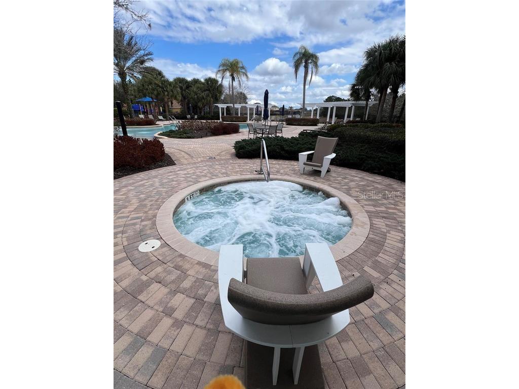 446 Orange Cosmos Boulevard Davenport FL 33837 O6390388 image67