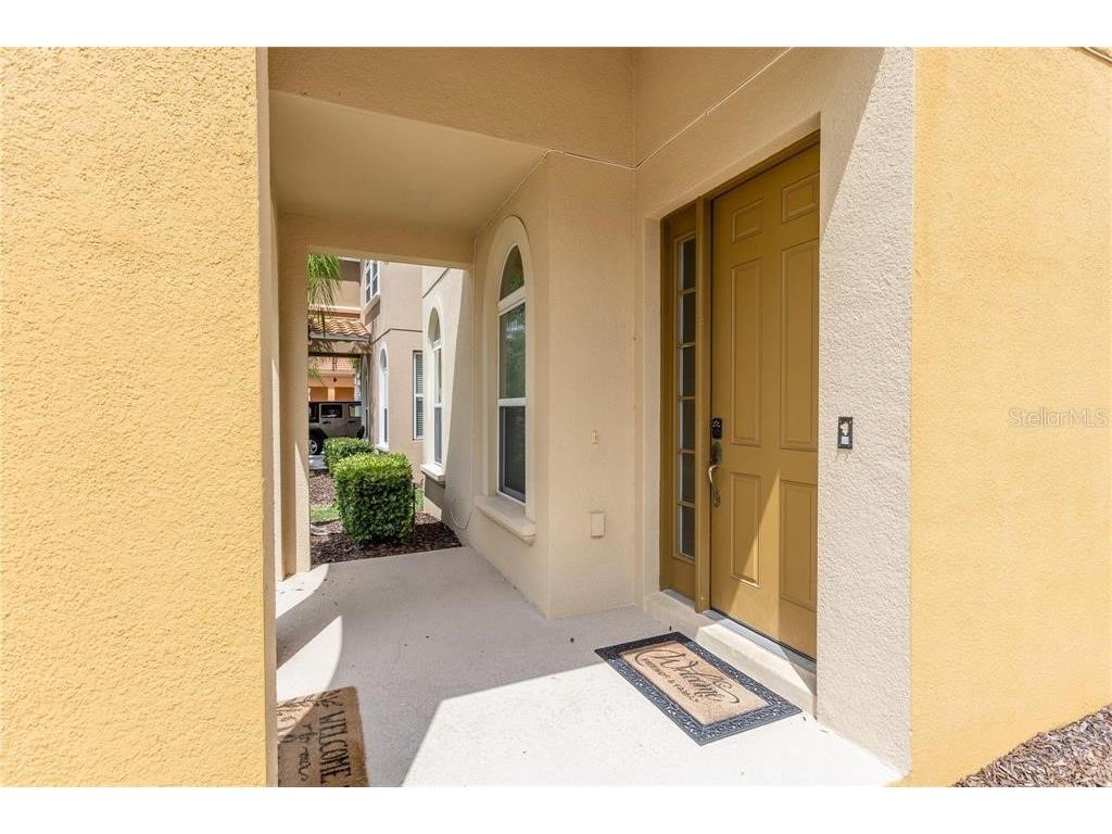 446 Orange Cosmos Boulevard Davenport FL 33837 O6390388 image9