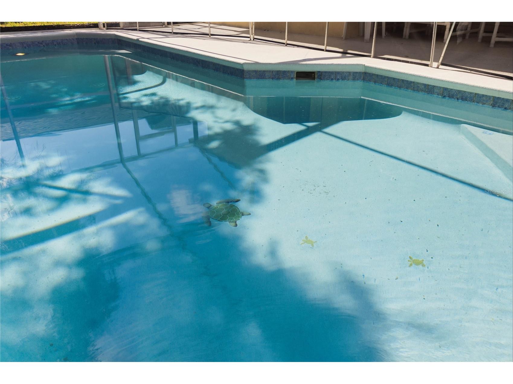 446 Reserve Drive Davenport FL 33896 S5150380 image46