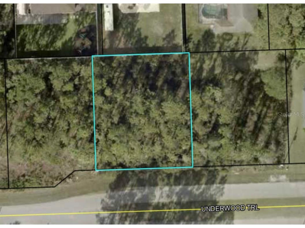 446 Underwood Trail Palm Coast FL 32164 FC299236 image1