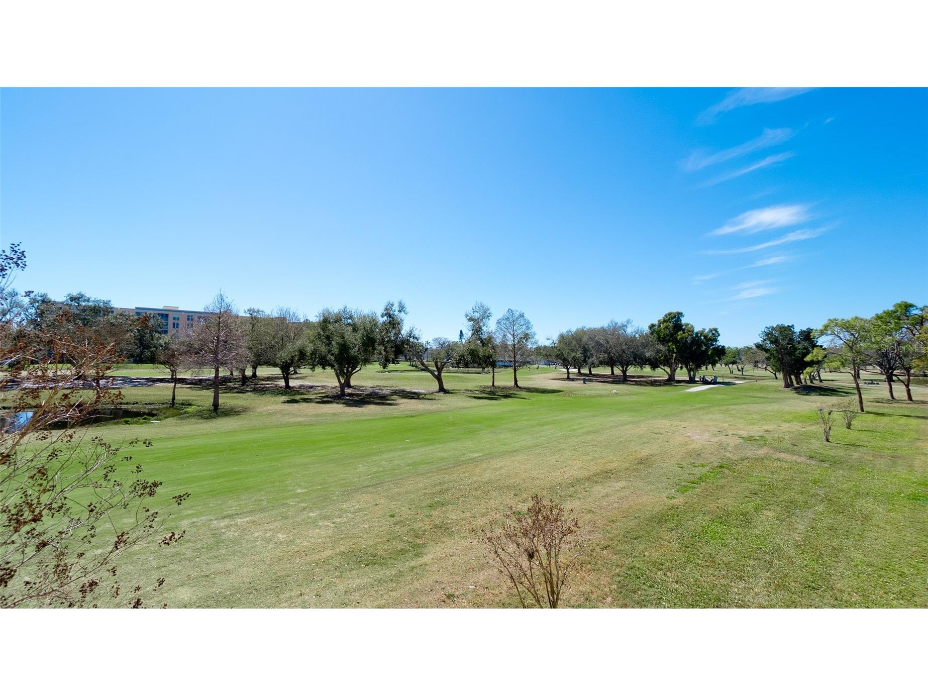 4460 Fairways Boulevard #102 Bradenton FL 34209 A4686303 image34