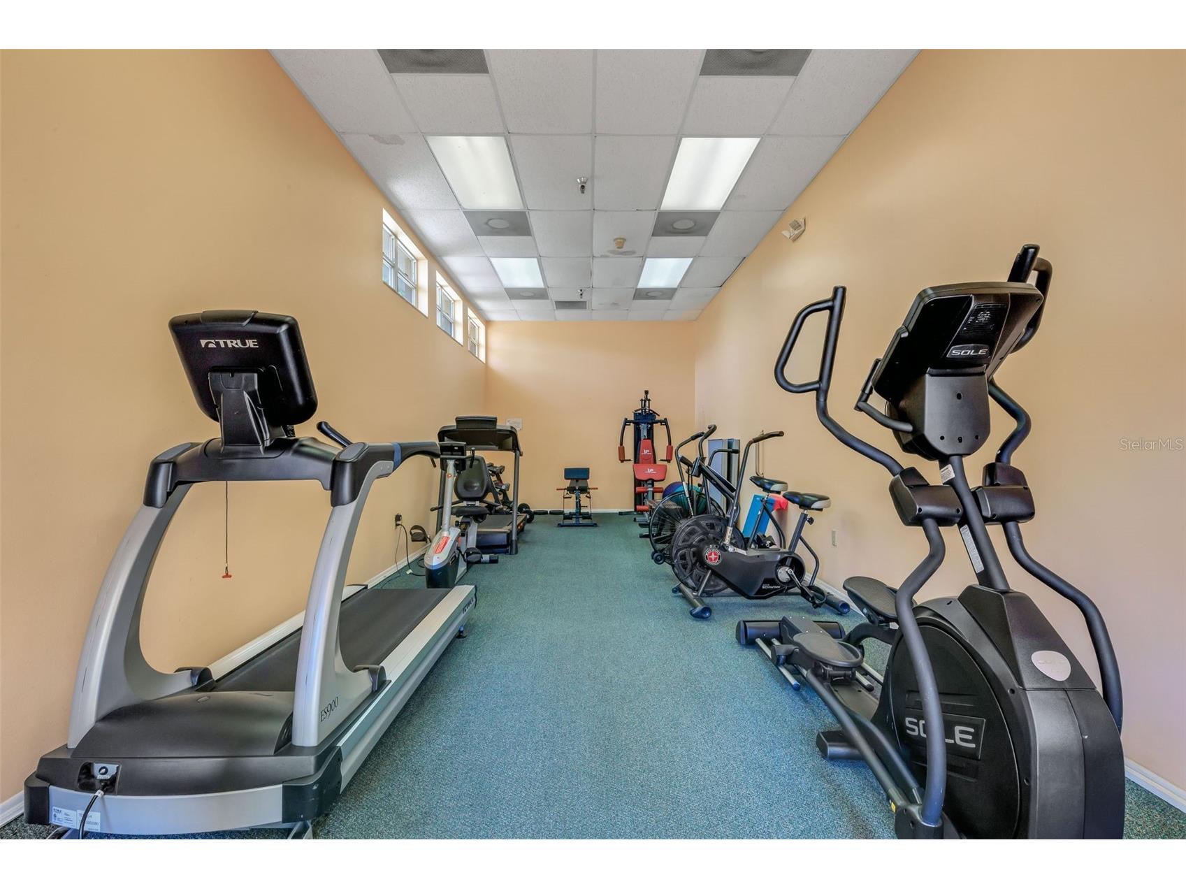 4460 Fairways Boulevard #107 Bradenton FL 34209 TB8473266 image49