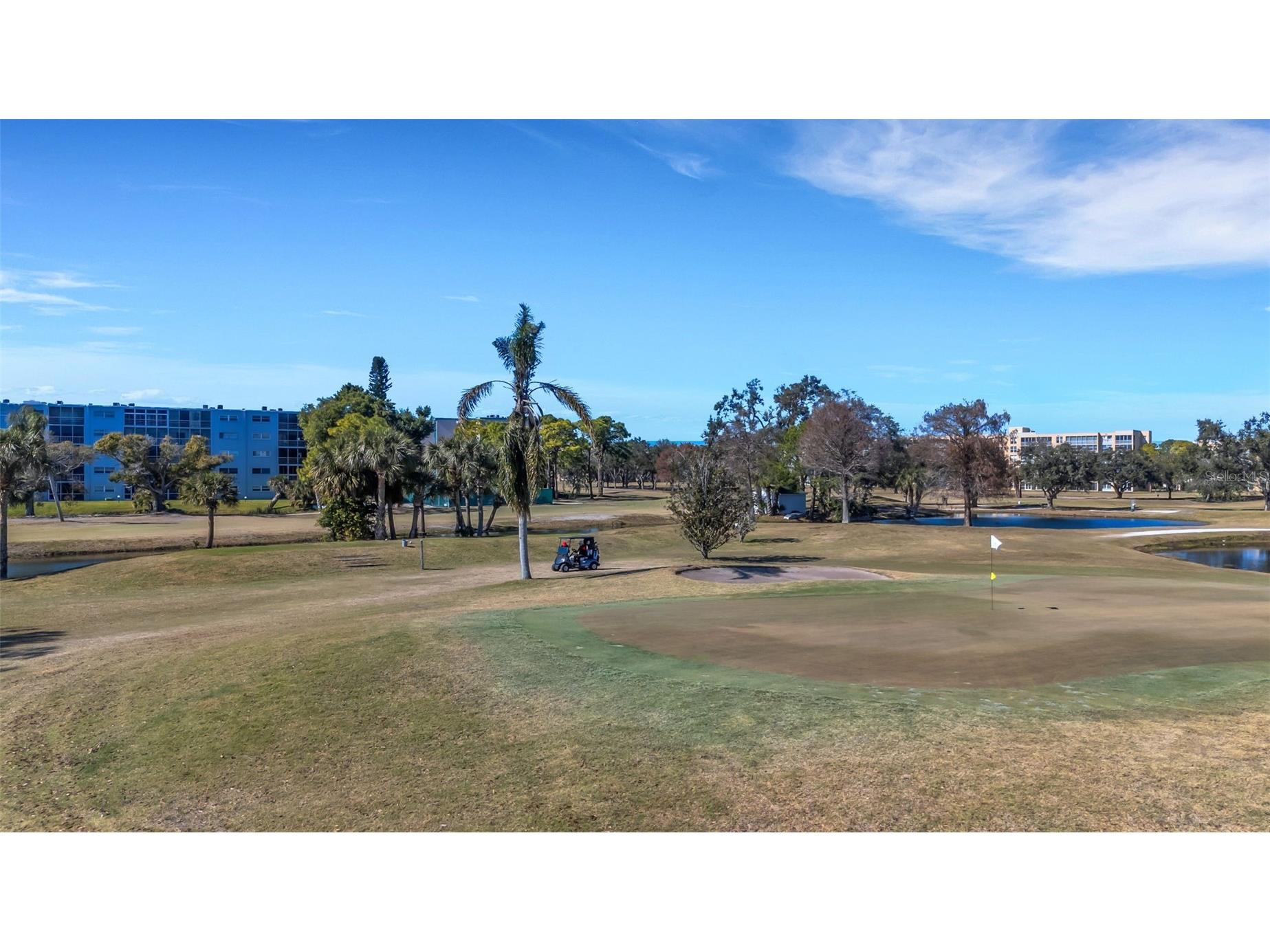 4460 Fairways Boulevard #107 Bradenton FL 34209 TB8473266 image62