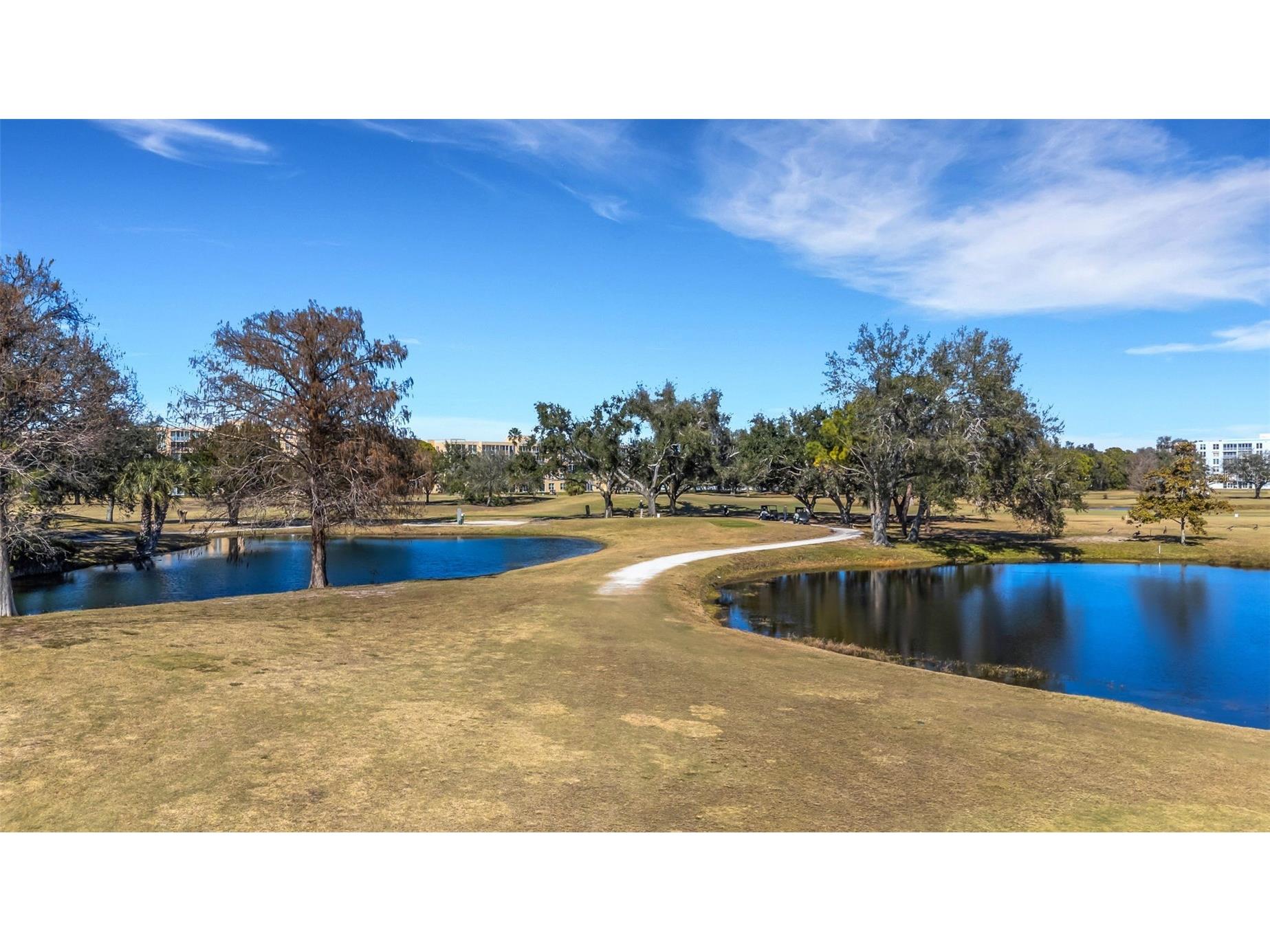 4460 Fairways Boulevard #107 Bradenton FL 34209 TB8473266 image63