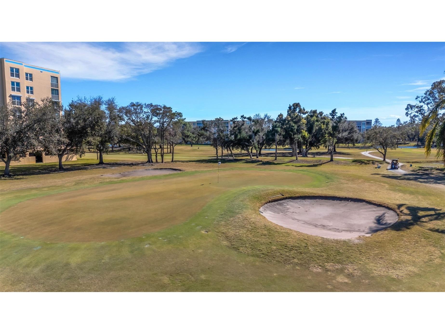 4460 Fairways Boulevard #107 Bradenton FL 34209 TB8473266 image67