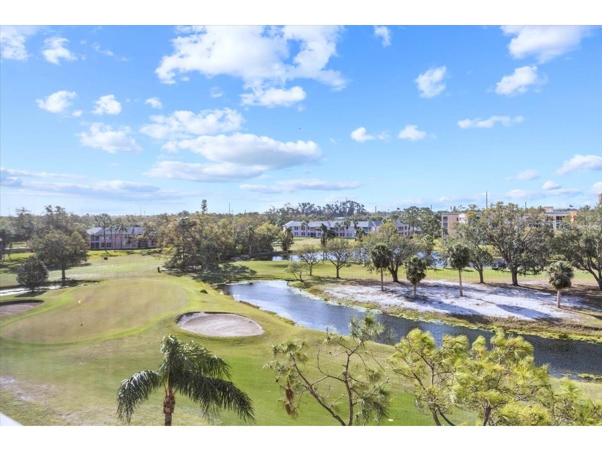 4460 Fairways Boulevard #407 Bradenton FL 34209 TB8525579 image1