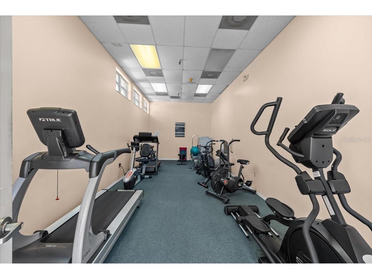 4460 Fairways Boulevard #407 Bradenton FL 34209 TB8525579 image32