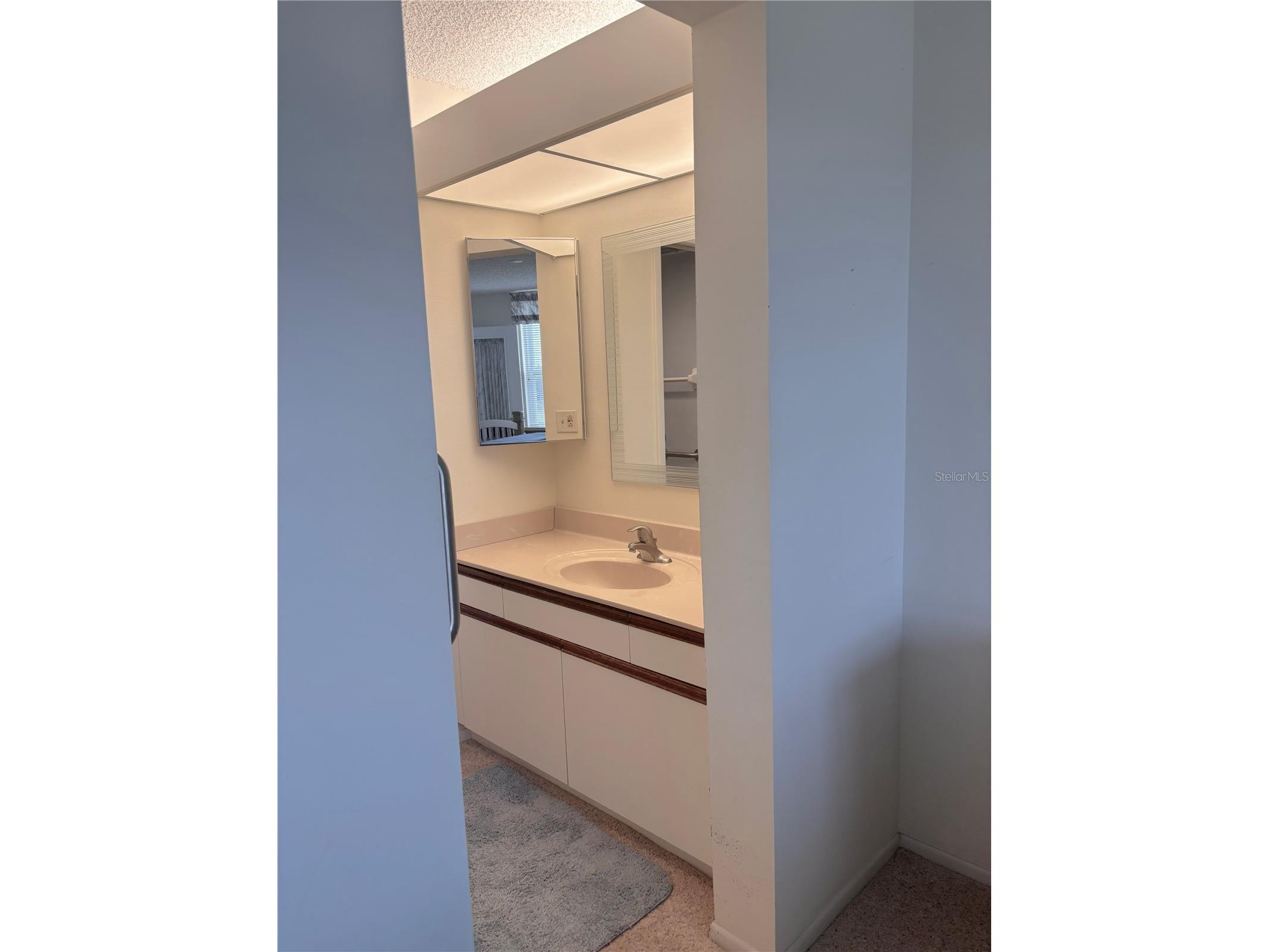 4460 Fairways Boulevard #407 Bradenton FL 34209 TB8525579 image6