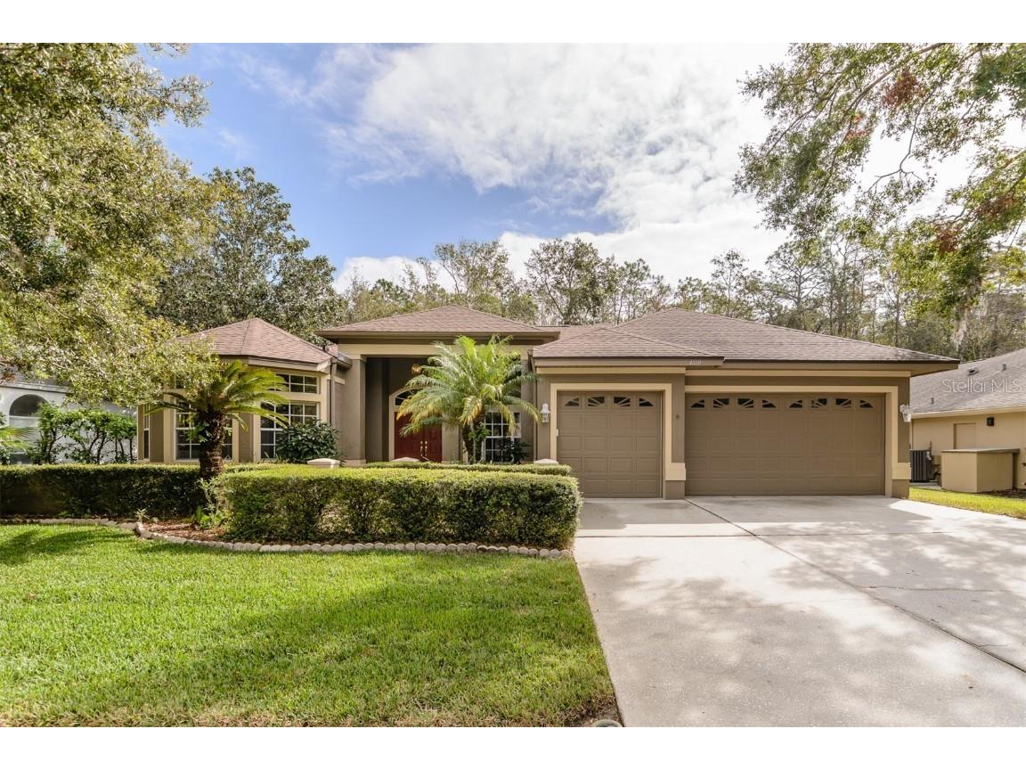 4460 Fallbrook Boulevard Palm Harbor FL 34685 TB8317339 image1
