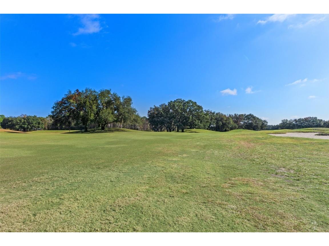 4460 Golf Club Lane Spring Hill FL 34609 W7880821 image13