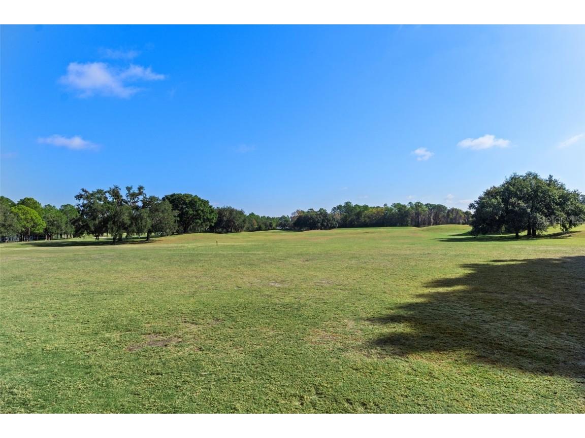 4460 Golf Club Lane Spring Hill FL 34609 W7880821 image16