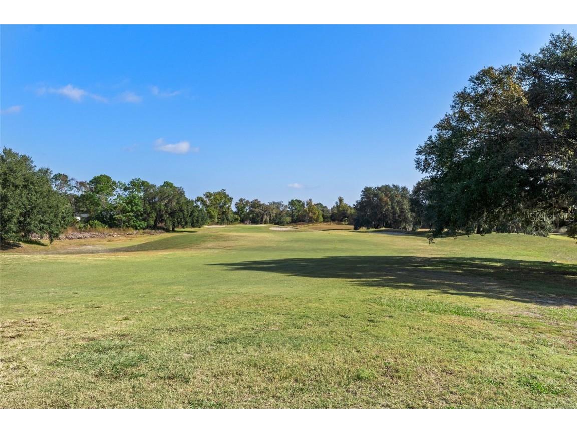 4460 Golf Club Lane Spring Hill FL 34609 W7880821 image21