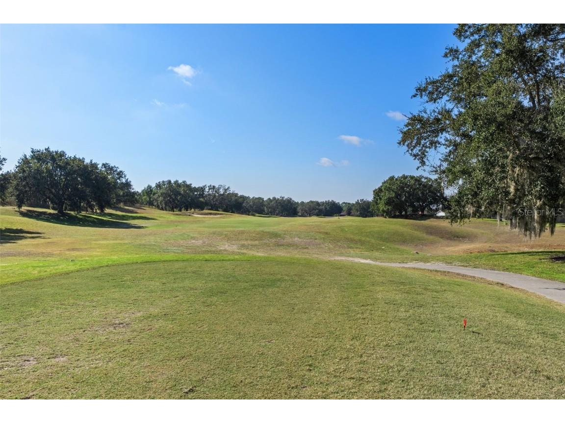 4460 Golf Club Lane Spring Hill FL 34609 W7880821 image24